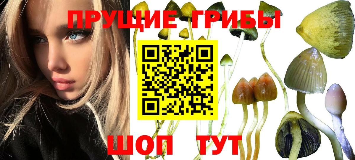Конопля  Вход с VPN  Метадон  Кимовск  Мефедрон кристаллы 