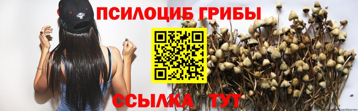 Галлюциногенные грибы GOLDEN TEACHER  Вход с VPN  Галлюциногенные грибы прущие грибы  магазин  наркотиков  Кимовск 